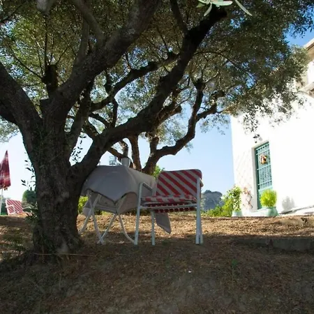 Apartamento S&k Country House Pirgos Peloponnese Xylokera