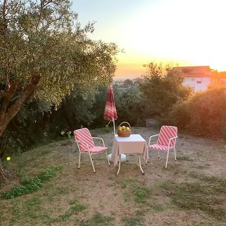 S&k Country House Pirgos Peloponnese Apartamento