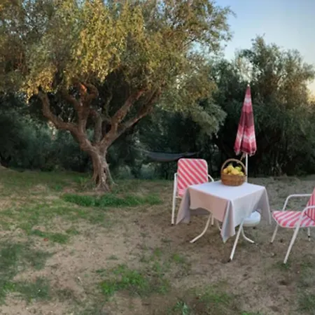 S&k Country House Pirgos Peloponnese Apartamento *