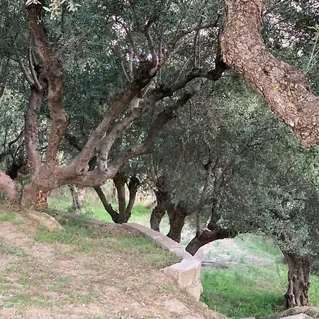 S&k Country House Pirgos Peloponnese Apartament Xylokera
