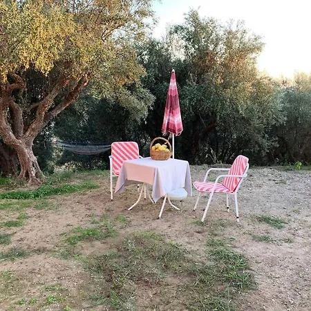 S&k Country House Pirgos Peloponnese