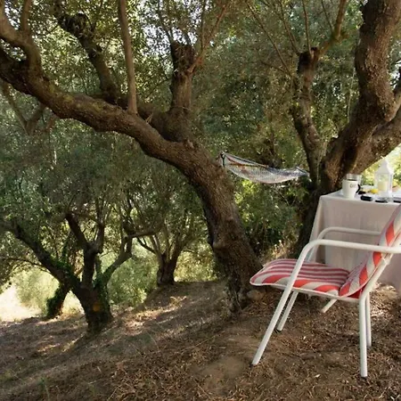 S&k Country House Pirgos Peloponnese Apartamento Xylokera